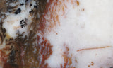 Idaho Dendritic Agate 99