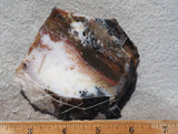 Idaho Dendritic Agate 99