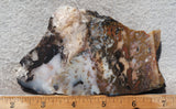 Idaho Dendritic Agate 98