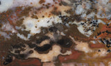 Idaho Dendritic Agate 98