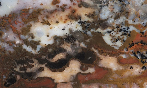 Idaho Dendritic Agate 98