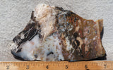 Idaho Dendritic Agate 98
