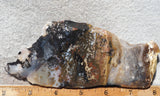 Idaho Dendritic Agate 97