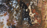 Idaho Dendritic Agate 97