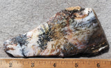 Idaho Dendritic Agate 94