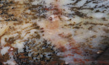 Idaho Dendritic Agate 94