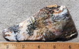 Idaho Dendritic Agate 94