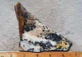 Idaho Dendritic Agate 95