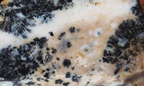 Idaho Dendritic Agate 95