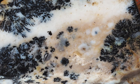 Idaho Dendritic Agate 95