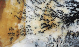 Idaho Dendritic Agate 96