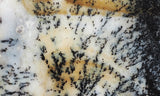 Idaho Dendritic Agate 96