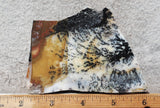 Idaho Dendritic Agate 96