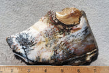 Idaho Dendritic Agate 91