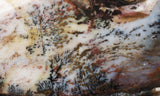 Idaho Dendritic Agate 91
