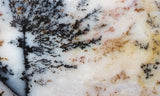 Idaho Dendritic Agate 91