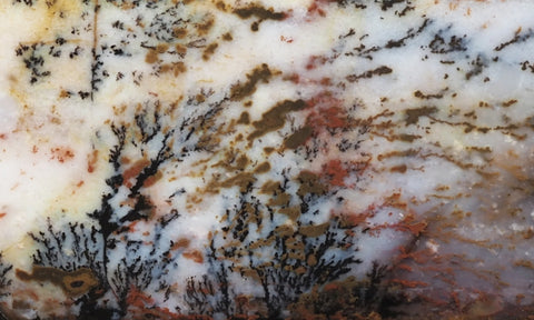 Idaho Dendritic Agate 91
