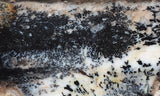 Idaho Dendritic Agate 90