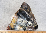 Idaho Dendritic Agate 90