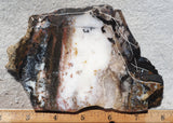 Idaho Dendritic Agate 93