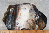Idaho Dendritic Agate 92
