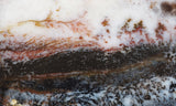 Idaho Dendritic Agate 92