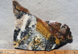 Idaho Dendritic Agate 89