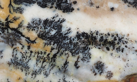 Idaho Dendritic Agate 89