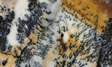 Idaho Dendritic Agate 89
