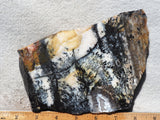 Idaho Dendritic Agate 86