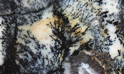 Idaho Dendritic Agate 86