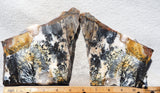 Idaho Dendritic Agate 85