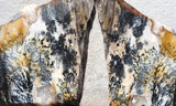 Idaho Dendritic Agate 85