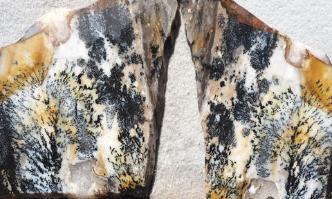 Idaho Dendritic Agate 85