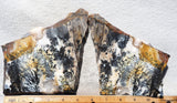Idaho Dendritic Agate 85