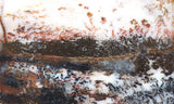 Idaho Dendritic Agate 88
