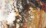 Idaho Dendritic Agate 88