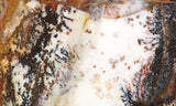 Idaho Dendritic Agate 87