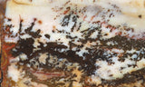 Idaho Dendritic Agate 87