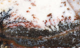 Idaho Dendritic Agate 87