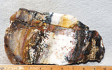 Idaho Dendritic Agate 87