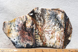 Idaho Dendritic Agate 84