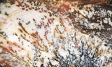 Idaho Dendritic Agate 84