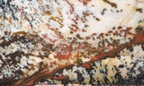 Idaho Dendritic Agate 84