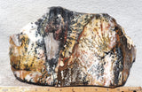Idaho Dendritic Agate 83