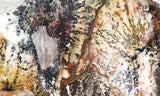 Idaho Dendritic Agate 83