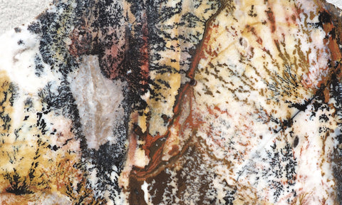 Idaho Dendritic Agate 83