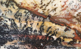 Idaho Dendritic Agate 83