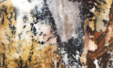 Idaho Dendritic Agate 83