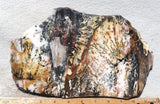 Idaho Dendritic Agate 83